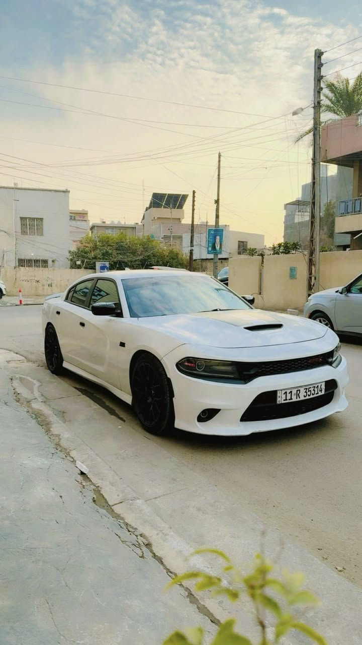 سلام عليكم شباب 
جارجر سكات باك للبيع 
موديل 2022 
اللون ابيض 
مكينه V8 / 6400ccm
ماشيه : 35 m 
رقم بغداد بأسمي والتحويل ثاني يوم 
المواصفات 
——————————-
كشنات كنتاره احمر مختم ( سكات باك ) 
فجوج بريمبو 6 بستم 
اكسل قفل 3.9 
كير 8 نمر 
دبات موبار سود
شاشه كار بلي 
كشنات تدفئه تبريد 
4 مودات قياده 
ذاكرة خزن ميموري 
حساسات خلفيه + جانبيه 
كامره خلفيه 
وباقي مواصفات السكات باك معروفه 
الأضافات 
———————————
لدات اوركال متغير 
وسقف روز رايز

حادثها 
——————————-
جاملغ وبنيد فقط 

* علماً السياره مناقصها اي شي جاهزه مجهزه 
* لا بيها تكحيل ولا بارد وكشرها كلش حلو 
 السعر 228 وبيها مجال بصيط وبالعافيه على الي ياخذها
مكاني بغداد / المنصور 

شراي يتصل ***********
