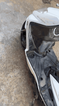 سكنس فحل للبيع مكاني بغداد الغزاليه السعر 700 مثا ما واضح بل صوره ***********
