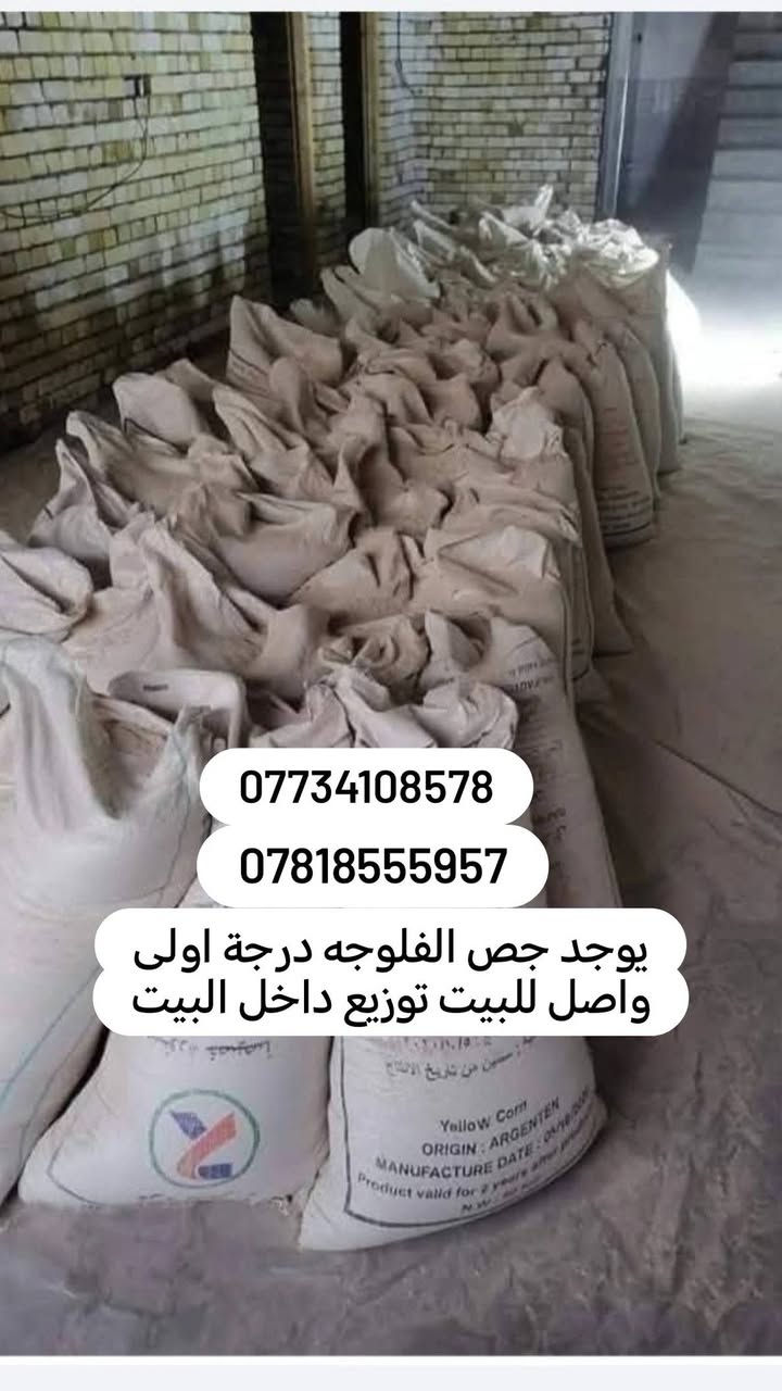 #سلام عليكم يوجد لدينا جص جزيره فلوجه ولكرمه  من #معمل اسعار مناسبه يوصلك جاهز مع عمال ولكواني #سعرالتك550 / تفحص يله تنزل /*********** / ***********واتساب
