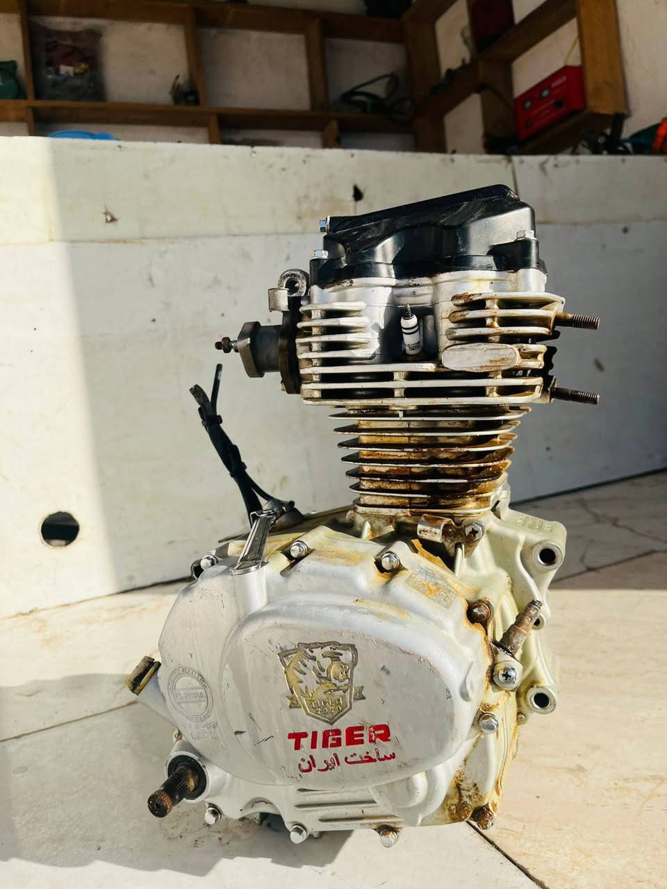 السلام عليكم مكينه تايكر مامفتوحه
امشي عليك الحسين اذا مو شراي لاتعبني ب80 وبيهة مجال قلليل ديوانيه مامتواجد ع فيس ***********
