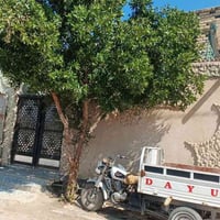 بيت زراعي • ٢١٠م • طريق سوق الشيوخ