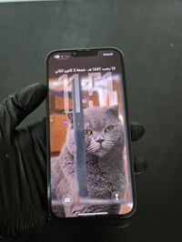 ايفون 13 برو ماكس • ٢٥٦ • بطارية ٨٧