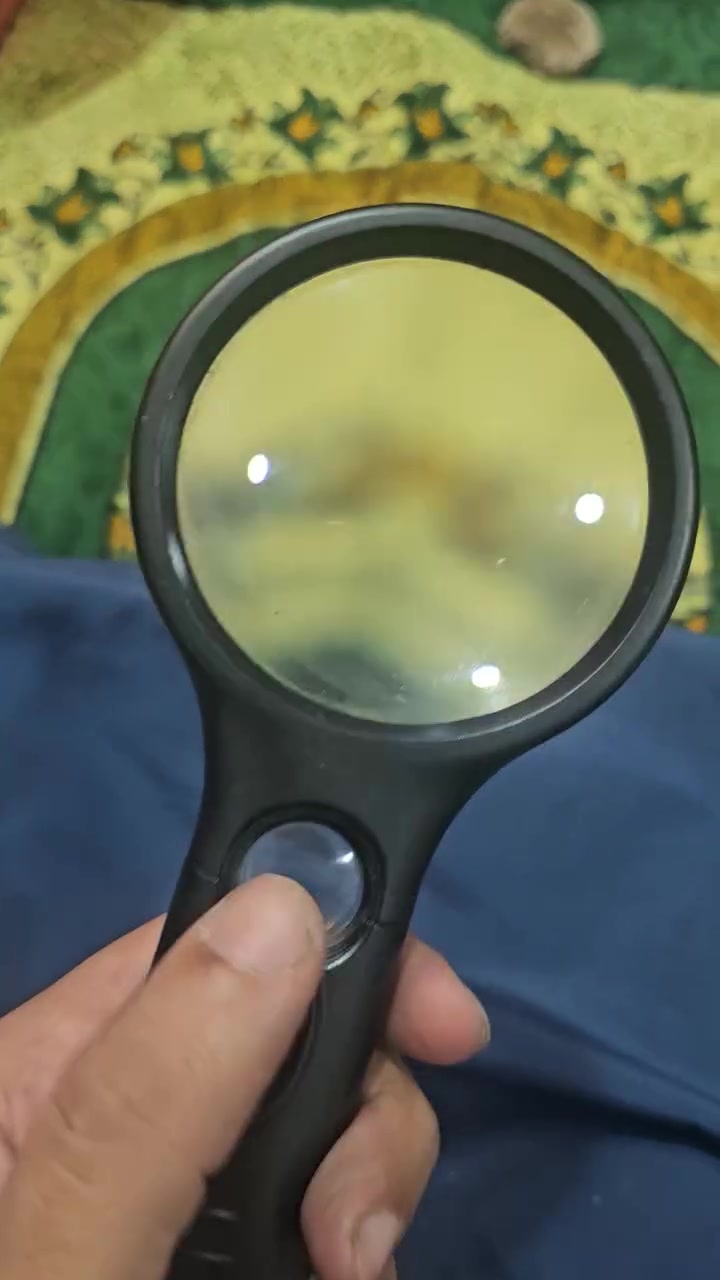 بخمسه


**إذا كنت صاحب هذا الإعلان وتريد حذفه لأي سبب، رجاءا أرسل رسالة إلى الدعم الفني**