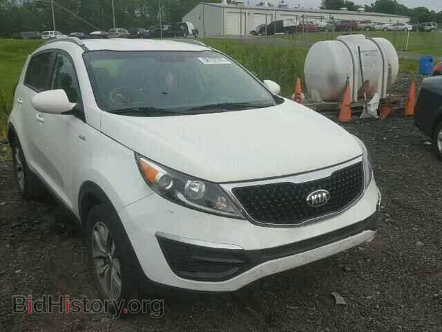 سبورتاج موديل 2016 
ماشيه 87 مايل 
لون ابيض ، وارد امريكي ،مكينه GDI 2400
مكفوله كفاله عامه من الصبغ والتبديل 
صور الضرر بامريكا موجوده بالمنشور 
رقم الهاتف : ***********
السعر 152 وبيه مجال
