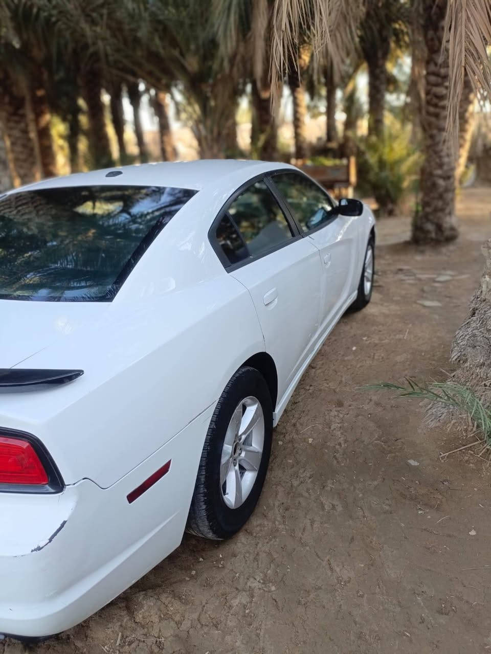 سلام عليكم جارجر 2012
ابيض رقم بصره سياره بيهه ملاحضات صغيره السعر 130
رقم. ***********
