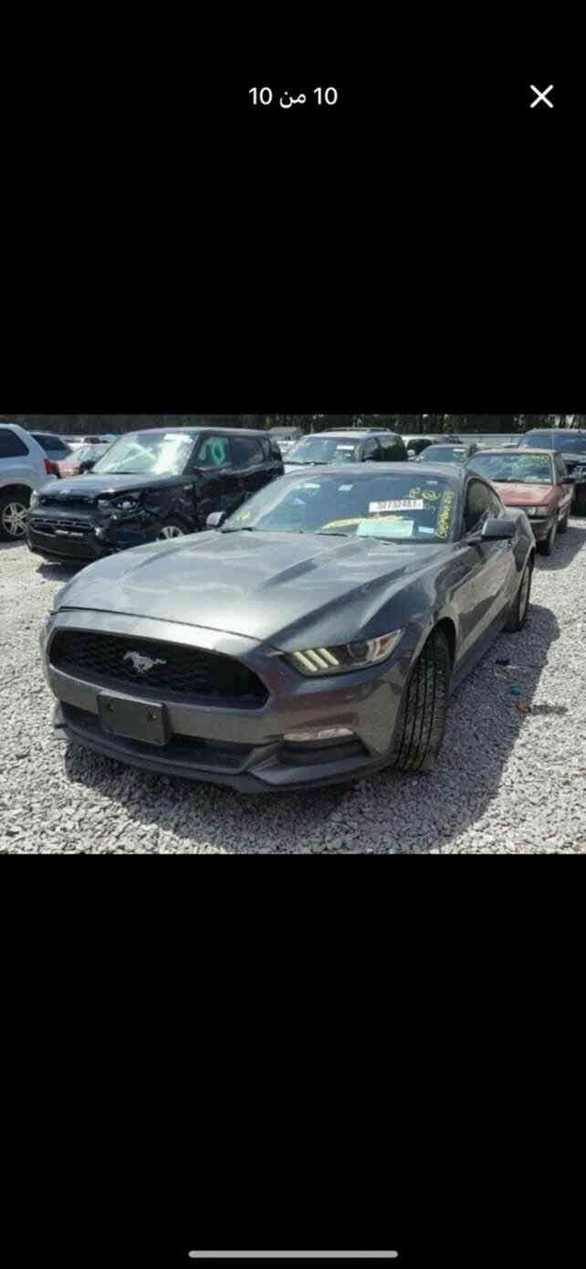 السلام عليكم موستنكv6 اوتو رقم شمالي مميز وكالة بسمي تريد تحويل تريد وكالة ماكو مشكلةحادثها موضح بل صور وهنا مطخطخه بيها صبغ حزام بدون(ايرباك) بدون شاصي بدون لغد بيها فقط جسر اللغد صاعد شويه⚠️سياره عليها تفريغ و اكس بايب ودبات كورسا اكتف  بك لايت سموك دفيوزر مال موديل الحديث دبل اكزوز بورلا شباكcs ويل فويزن لحية يعني سياره كاملة مابيها نقص اي شي يخص كماليات السياره مبرمجه وعليها بلكات وفيت بم ريسنك  محدث داخلها العداد بريميوم  ومسوي بيها اناره داخلية ربع مذب ع سياره  
السعر138 وبيها مجال كلش بسيط واذا عدكم gt مراوس عادي
مكان السياره بغداد المنصور او الاسكان
***********
