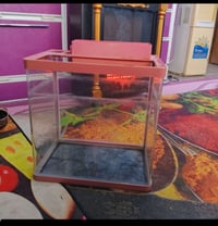 حوض سمك جاهز • ماطور • توصيل الديوانية