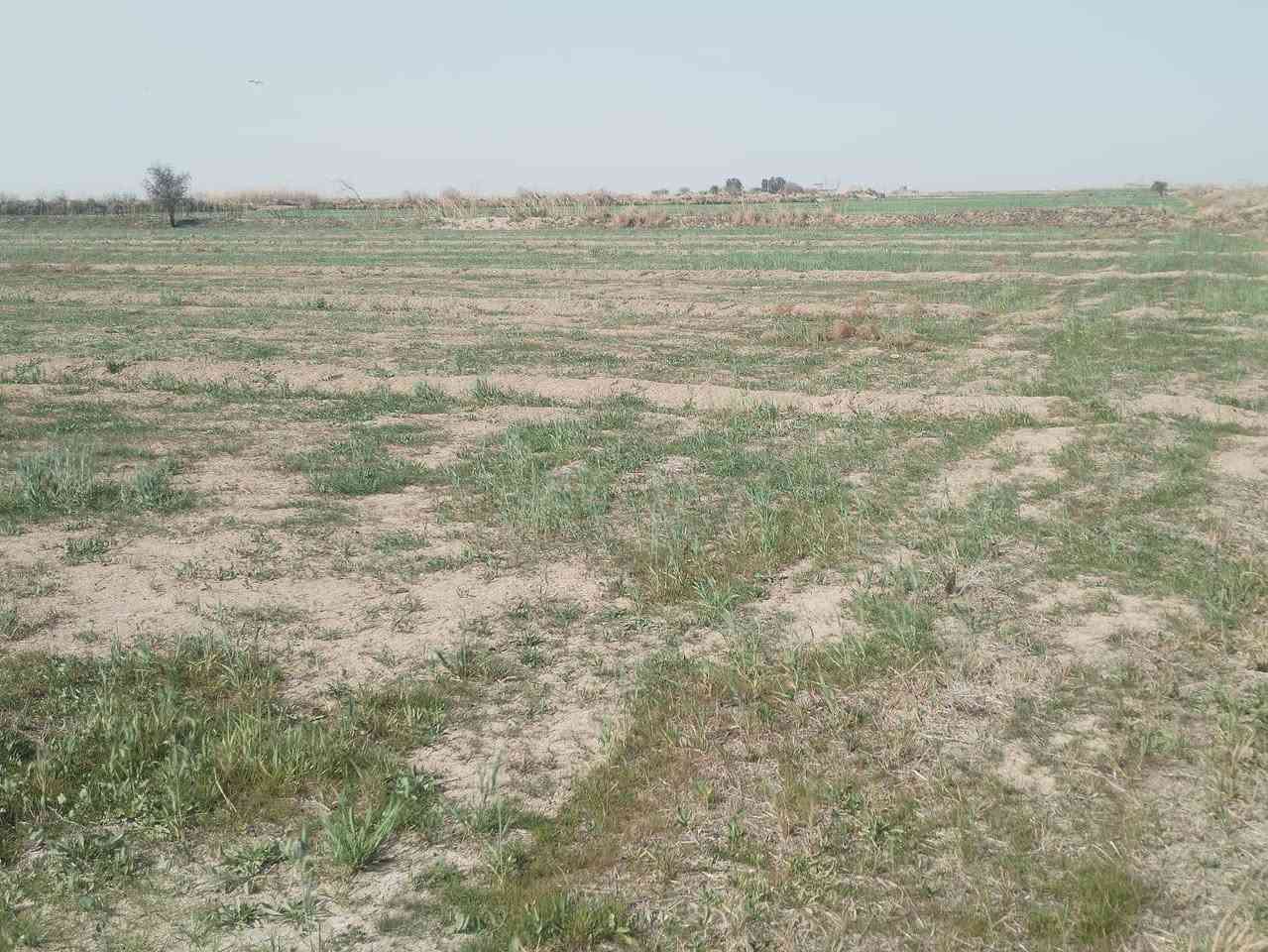 السلام عليكم
دار للبيع مع ارض ٧ دونم
ماء سكي 
 ماء اساله
كهرباء متوفره

مكان واسط قظاء الزبيديه قرية حلب

***********
