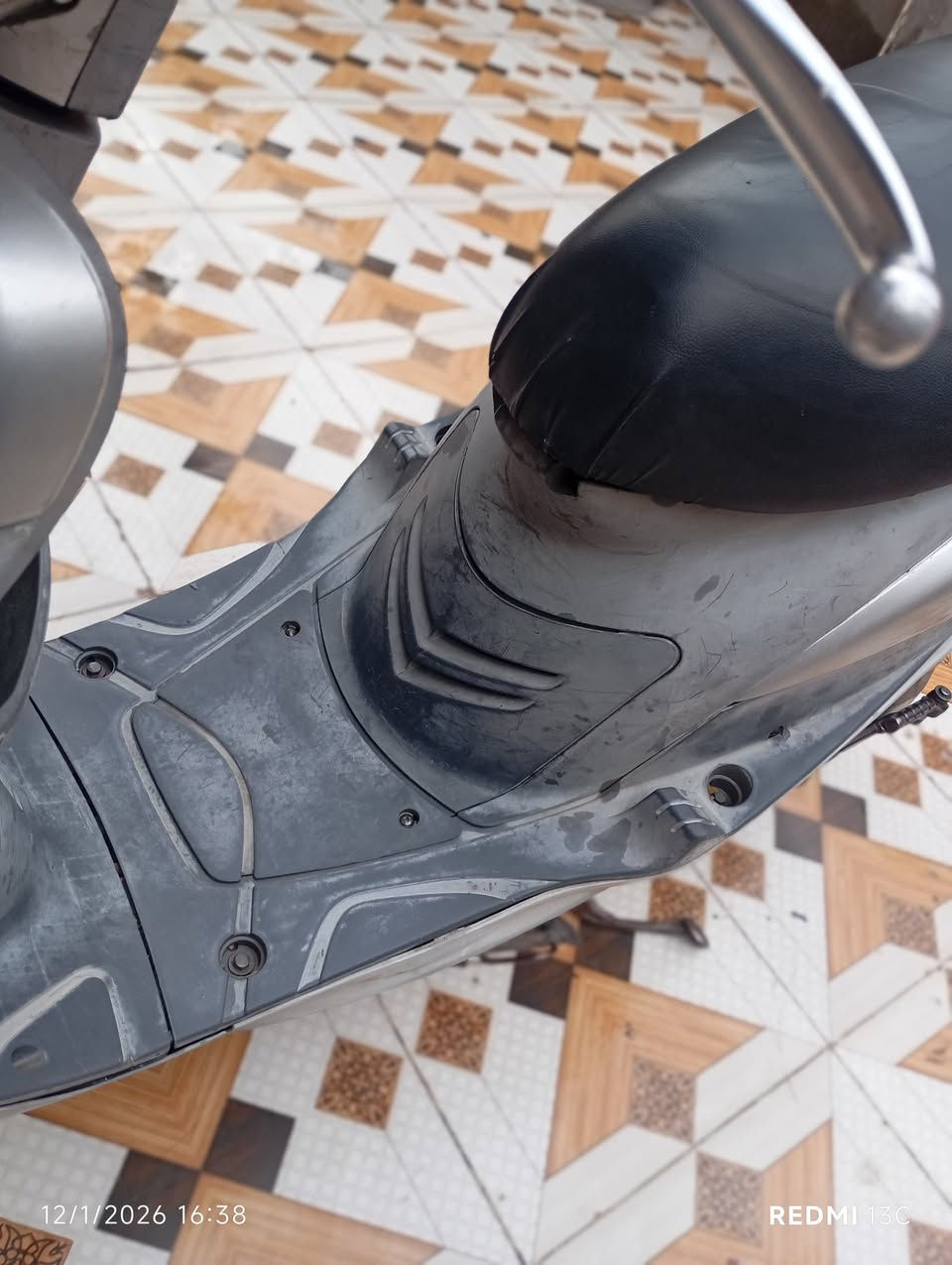 منغولي رمبة للبيع 675 وبيه مجال *********** الحمزة الغربي
