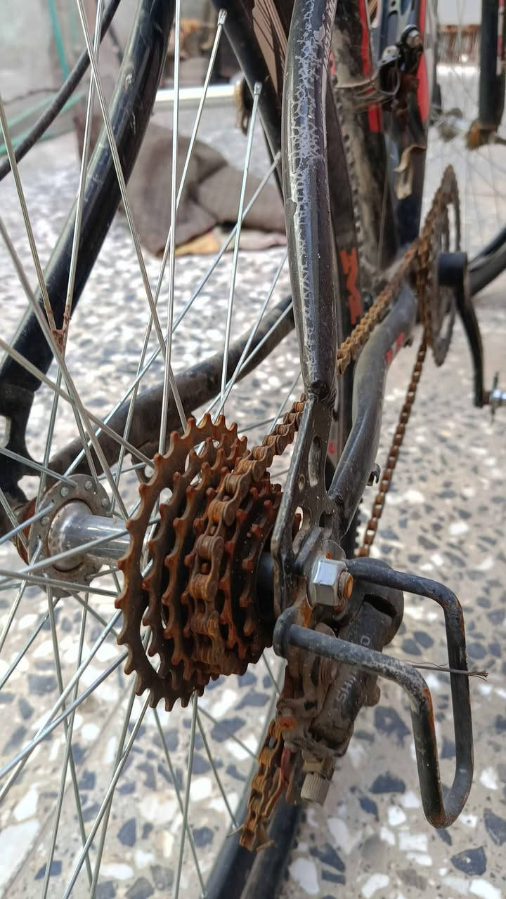 بايسكل جبلي متروك يرادله بس  تبدل جوب ويلات جدد سعره 70 وبي مجال للشراي النجف, العراق


**إذا كنت صاحب هذا الإعلان وتريد حذفه لأي سبب، رجاءا أرسل رسالة إلى الدعم الفني**