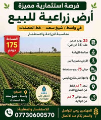 واسط شيخ سعد • ١٧٥ دونم • حصة ماء