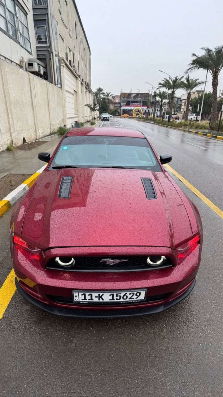 ‏2014 V6
-رقم بغداد بأسمي هزة وسنوية جديدة 
-حادثها بنيد فقط ومبدل GT وبيها جامغ وباب سكن صبغ اثر شخوط 
-كير مكينة اكسل تبريد شرط
-لد حاجب متغير وعدسات زنون اصلي
-مشتغلها دوشمة جديدة - كرسي كهرباء
-باتري جديد من ديار الخضراء
-مسوي عليها ادامة كاملة غرفة الاحتراق و بلكات اصلي وزوج اذاين ودجة.
-عليها ادامة كاملة لمنظومة المي يم الحسام 
-عليها فيتبم جديد 
-مشتغلها بوليش يم قحطان الصفار
-الاكسسورات قاعدة رقم RTR - لحية - دفيوزر - سكوب جاملغ خلفي - سكوب جامة خلفية 
-السيارة ستكوك مملعوب بيها وجاهزة بدون اي نقص وبدون اي جيك انجن.
السعر:120وبيها مجال
لتواصل واتساب ***********
