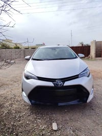 كورلا • ٢٠١٩ • رقم كركوك