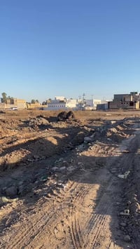 بستان نصير • ٢٥٠م • زراعي سند ٢٥