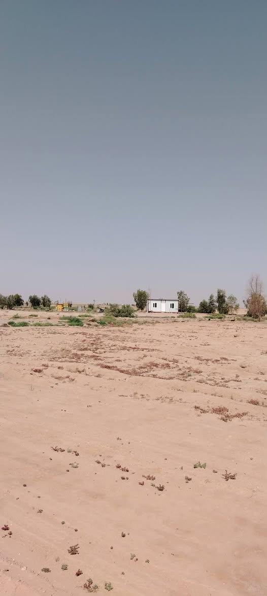 السلام عليكم مزرعة للبيع في منطقة الرهيمه النجف مساحة 70 دونم عقد باسمي  بيها 160 نخله ونبگ 20 منوع
مسيجه كالبتوز  طاقه شمسيه مال40 حصان.  وغطاس 15 حصان. كرفان غرفتين.  للاستفسار ابو محمد ***********
