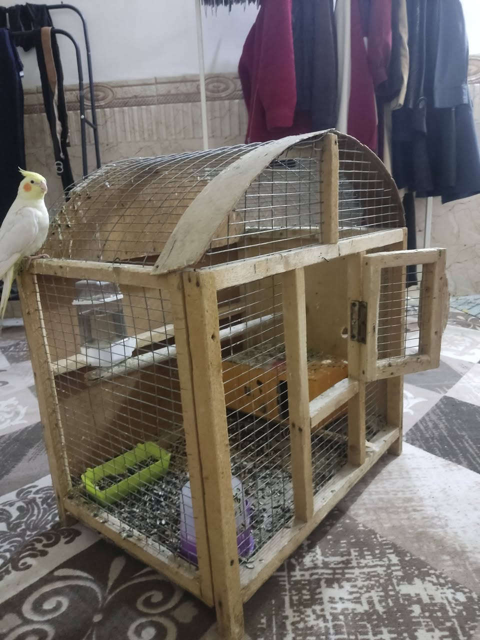 قفص طيور ٢٠ الف


**إذا كنت صاحب هذا الإعلان وتريد حذفه لأي سبب، رجاءا أرسل رسالة إلى الدعم الفني**