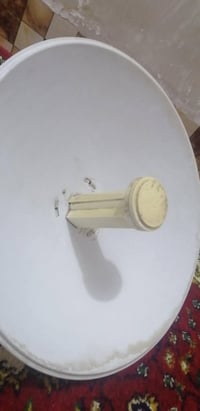 باور بيم • ضمان • الديوانية