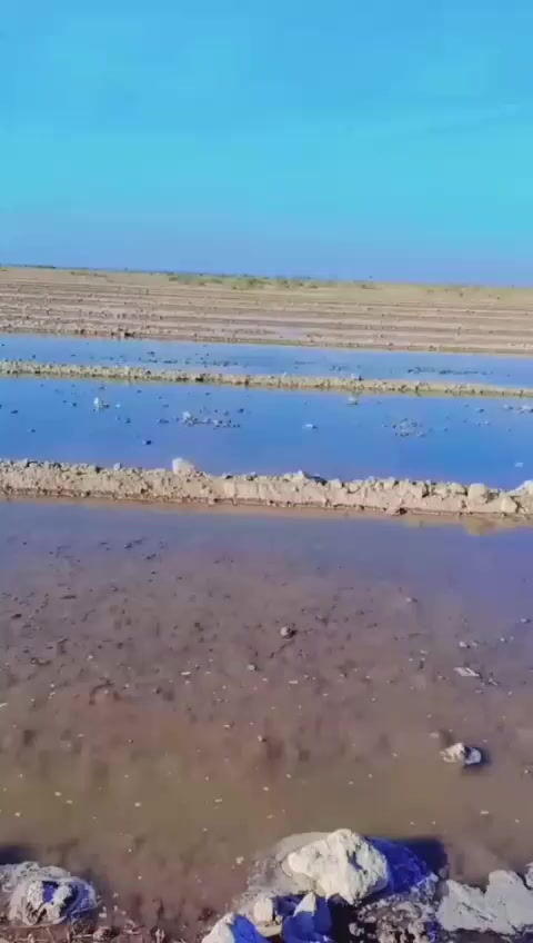 أرض زراعية طابو 25 واسط الزبيدية مساحتها 75دونم وكما موضح بالصور طبعا هذا عمل السنه الماضيه حالياً هي بور لعدم التفرغ لها...... تبعد عن شارع نعمانية زبيدية 300متر .نهرها وطريقها لوحدها وحصه مائية ومضخه عليها باقي التفاصيل يتفضل خاص متواجد ع الخاص


**إذا كنت صاحب هذا الإعلان وتريد حذفه لأي سبب، رجاءا أرسل رسالة إلى الدعم الفني**