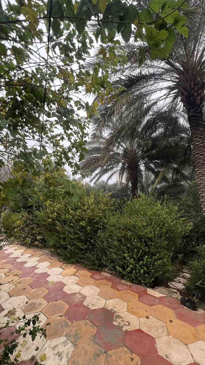 السلام عليكم
بيت للبيع ، المساحة الكلية ٧٥٠ متر

سند البيت : ملك صرف (الجنس بستان)

مساحة البناء ١٢٥ متر ( غرفتان كل وحدة ٥x٤ 
والاستقبال ٤x٦ 
والمطبخ ٤x٥
والصالة ١٠x٣،٥
يحتوي البيت على صحيات داخلية وخارجية
وغرفة في الطابق الثاني)

البيت ركن في منطقة حي الامام ( السواجي) فرع بيت ابو علي وعد الگصاب 
ويحتوي البيت على اشجار ونخيل وحديقة.. كما موضح في الصور ادناه
للأستفسار اكثر يرجى الاتصال على الرقم

***********
