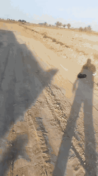 للبيع دونمين طابو زراعي  شارعهن10 بصفهن مزارع مسيجه السجر قرب النهر 07...