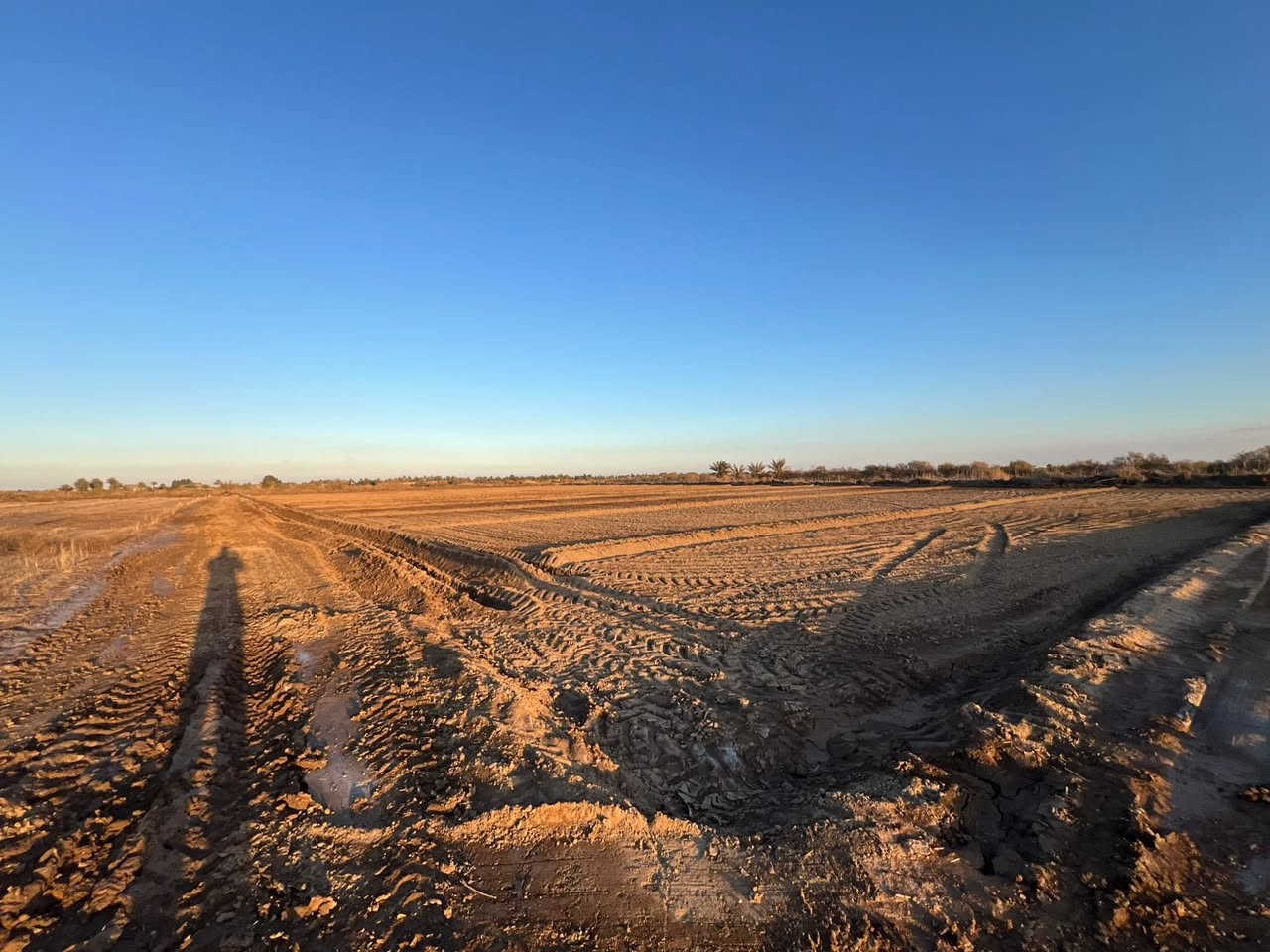 فرصه مميزه وبيع مستعجل ك قطعه ارظ طابو زراعي عقد 35 

ملاحظه ----- الارظ مشموله بمعاملت التطويب 

مساحه 6 دونم كافت الخدمات ماء سقي صيف وشتاء ماء أسأله

 طريقين  الى الارض قريب ع شارع العام 400 متر تقريباً 

📍العنوان حله وردية خارج قريت البو طيف قرب جدول بابل موقع مميز جدا 

💸سعر الدون الواحد14مع المجال      

☎️للاستفسار ***********
