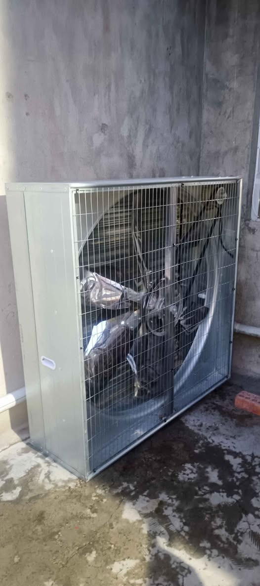 ساحیبەی قاعەی مریشک بۆ فرۆشتن ۱مەتر و ٤۰سانتیمیە لۆک لۆکە مەزبوتە لە سلێمانیم جوابی چات نادرێتەوە ئەوەش ڕەقەمە/*********** السليمانية, العراق
