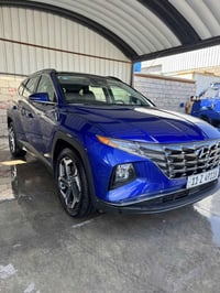 توسان ٢٠٢٣ • وارد امريكي • حادث مصبوغ