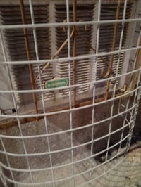 طن ونص • يحتاج غاز • البصره ابو خصيب