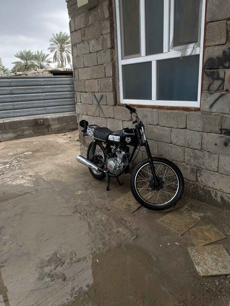 دراجه رابيدو للبيع كفاله عامه برقي ما مفتوح ستوا شاد تعميره جديده جيس وما مفتوحه ادوات مكاني البصره ابو الخصيب سعر 800 بيها مجال رقمي ***********
