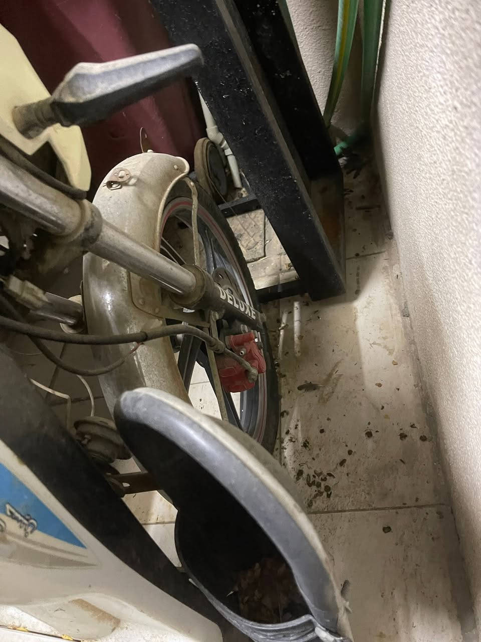 السلام وعليكم دراجه شحن للبيع بطاريات نص عمر تايرات جدد دسكات جدد السعر 140وبيها مجال


**إذا كنت صاحب هذا الإعلان وتريد حذفه لأي سبب، رجاءا أرسل رسالة إلى الدعم الفني**