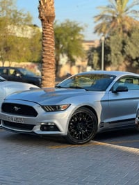 موستنك ايكو بوست • ٢٠١٧ • بيها صبغ
