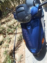 فراشه • حالة جيدة • ديالى كنعان