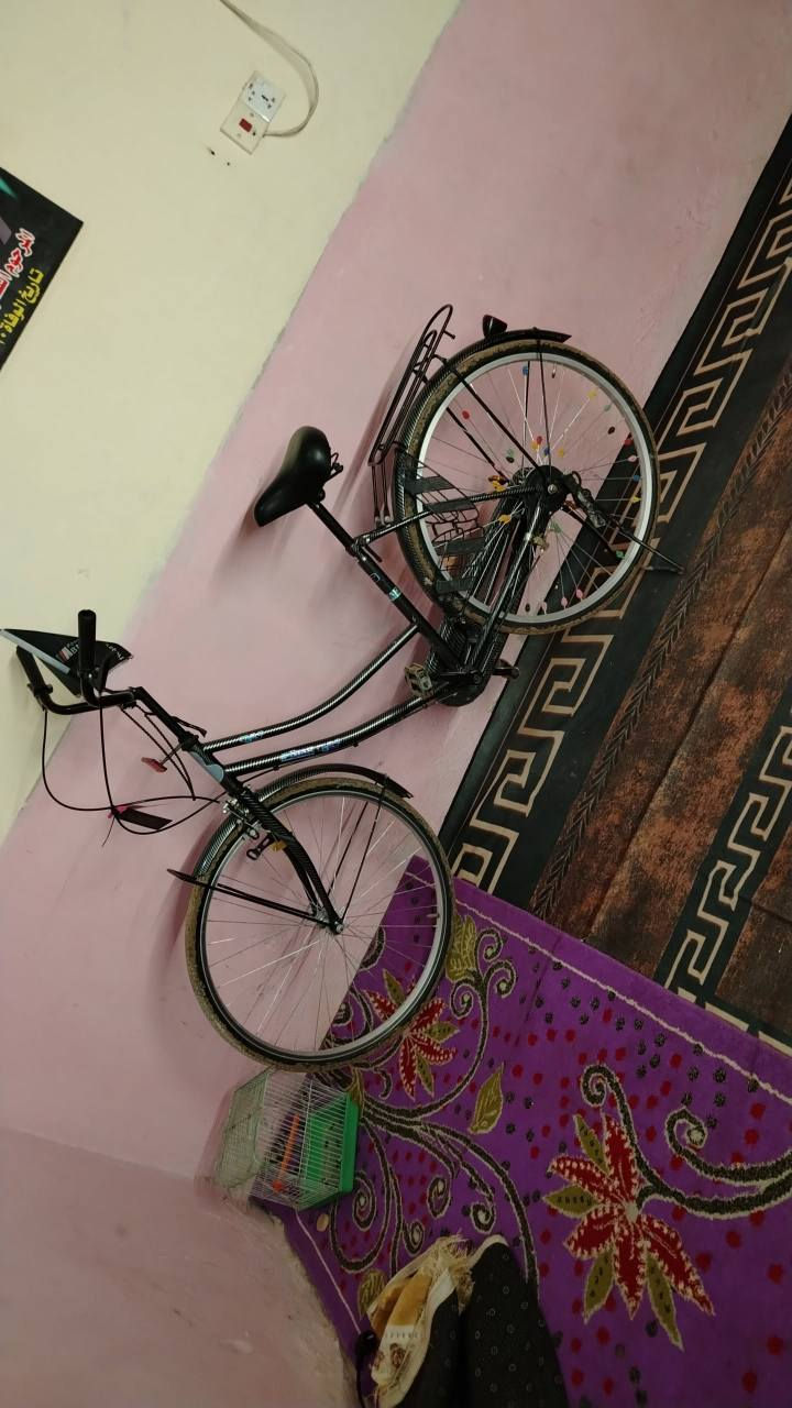 لون مميز كاربون فايبر مكان شارع المعمل ما بي اي نقص النجف, العراق


**إذا كنت صاحب هذا الإعلان وتريد حذفه لأي سبب، رجاءا أرسل رسالة إلى الدعم الفني**