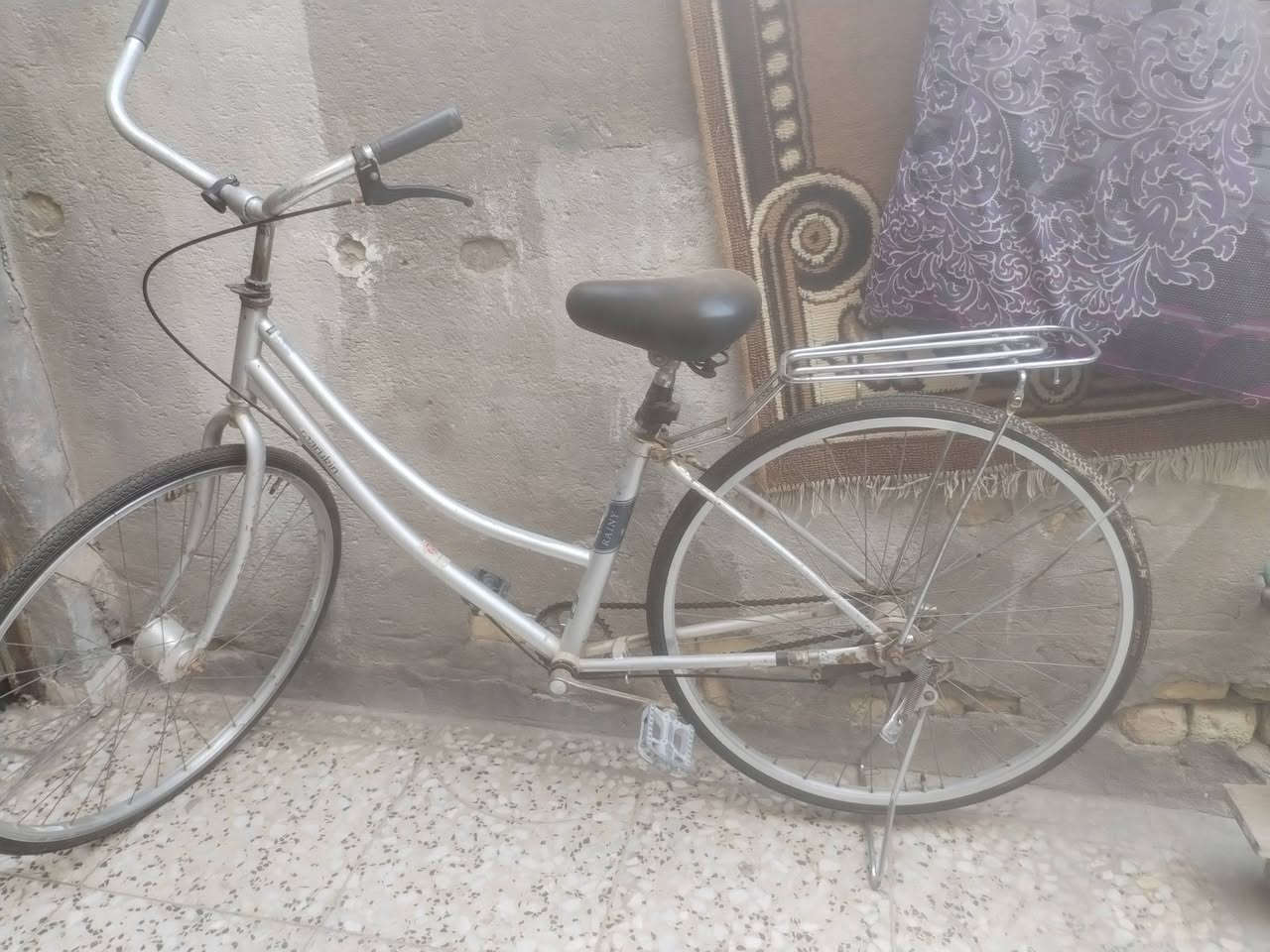 بايسكل موزه للبيع السعر ٧٠ ألف


**إذا كنت صاحب هذا الإعلان وتريد حذفه لأي سبب، رجاءا أرسل رسالة إلى الدعم الفني**