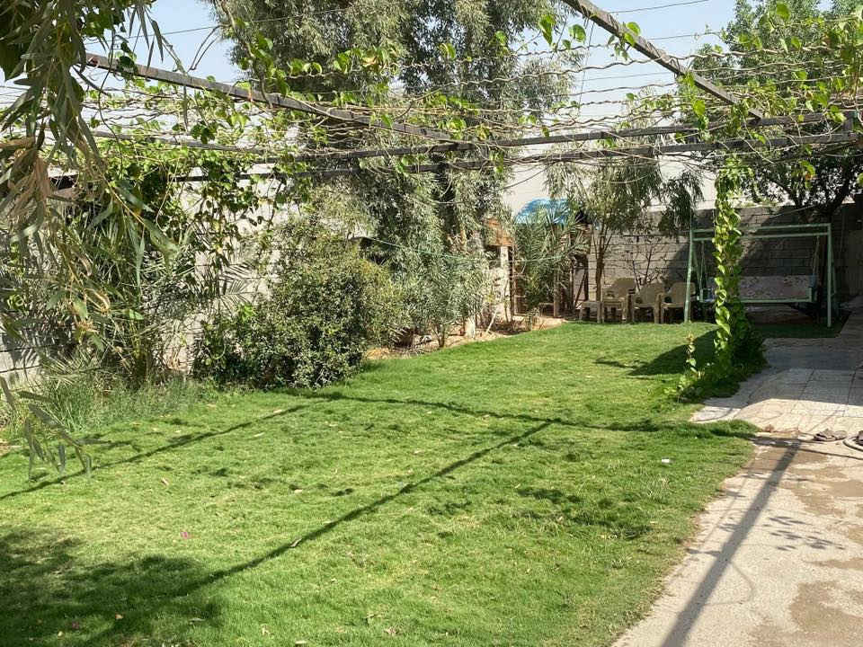 السلام عليكم اخوان
< دار للبيع غرفتين ومطبخ وصحيات >

< مساحة الكلية ( 266 متر ) طابو زراعي سند 25 > 

< منطقة الولداية الثانية قرب السده > 

< للستفسار اكثر الاتصال على هذا الرقم .

***********
