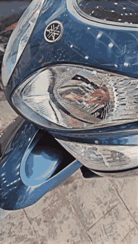 تي ماكس 2011 • سكوتر