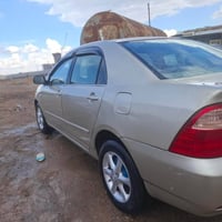 بيكاشؤ • ٢٠٠٧ • رقم اربيل