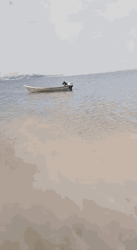 اسعر. 16$. شاري  يتصل ***********
