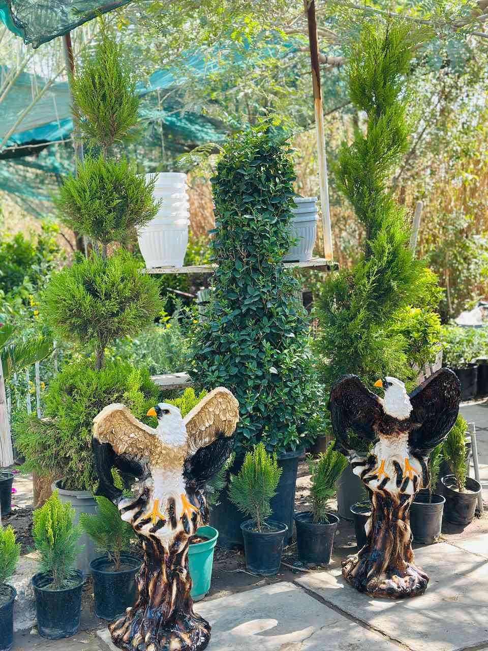 ✨ هدايا جاهزة بكل ذوق وأناقة ✨
داخل مشتل النورين 
العيد قرب 🎁 وعيد الأم ويا عيد الفطر
وإذا محتار شتقدم؟ إحنا سهّلناها عليك 💚

🌿 سنادين جاهزة ومتكاملة
مرتبة وأنيقة ومناسبة كهدية راقية بدون تعب

🎀 متوفرة بعدة أشكال:

 • سنادين كلاسيك فخمة
 • تصاميم عصرية وناعمة
 • تنسيقات جاهزة
 • نباتات داخلية مميزة
 • أحجام صغيرة وكبيرة حسب الطلب

💡 كل سنادينّا:
✔ تنسيق احترافي
✔مناسبة لكل المناسبات
هدية تعيش وتبقى ذكرى 🌱
#عنوانه_واسط_الصويرة_شارع_الغطاس_خلف_المجمع_السوري 
توفر 🚕توصيل داخل صويرة فقط 
***********
***********
