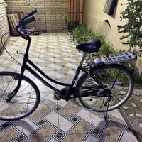 باسكل موزه • عجل ٢٦