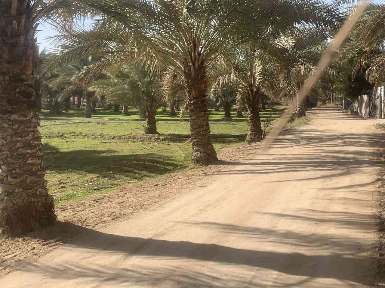 السلام عليكم البيع دونم الوجهة 47 متر سند 25 قرب حولي جديد مال بغداد قريب على مجمع رحمان سعر 220 وبي مجال استفسار رقم ***********
