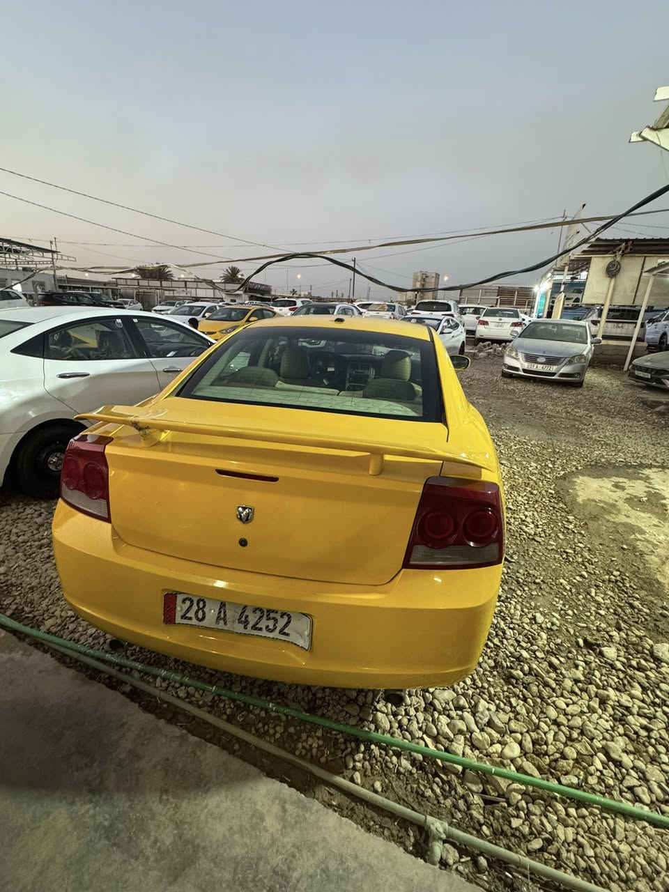 سلام عليكم 
جارجر موديل 2009🚕
رقم نجف بسمي مصغرة هيئه وغرامات تحويل ثاني يوم 
سنويه وهزه جديده
كفاله عامه فقط باب صدر 
السياره عليها ادامه بلكامل قبل 15 يوم حداديه جديده اصليه وكاله موبار صدر أمامي وخلفي عبوة فيت بم وكالة موبار  
ادامه صيفيه ماي راديتر اصلي برجيستون ومع عبوة سائل تبريد
سياره جاهزه كل نقص مابيهاا

العنوان الديوانيه 
{تفاصيل أكثر اتصال او مراسله خاص وبي واتساب الرقام}☎️

📞 {***********}
{محمد الكرعاوي }📲
— في ‏معارض الديوانية لبيع وشراء السيارات ‏.
