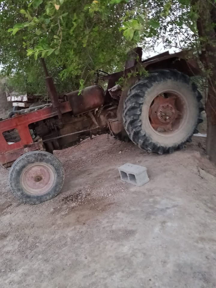 السلام عليكم مكينه عنتر موديل ٨٥ للبيع رقم ديالى بسم راعيها مكاانها ناصريه قضاء الرفاعي مكلف بالنشر رقم صاحبها ***********
