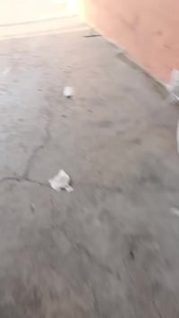 باسكال ٢٠١٨ • حجم ٢٦ • نضافته ١٠٠٪