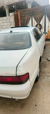 البصرة • سفوان