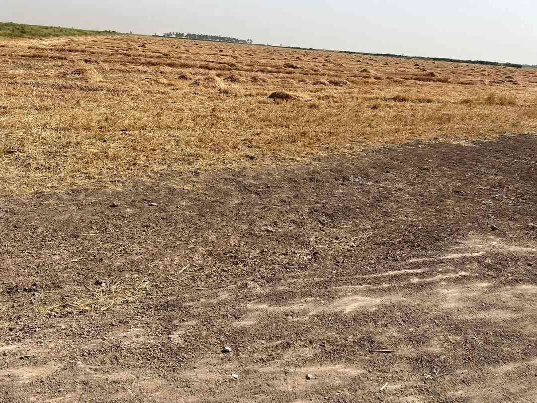 السلام عليكم ارض ١٠ دوانم طبو تحويل بأسم المشتري كهرباء اساله بنصها تبعد عن التبليط ٢٥٠ متر وعن مركز المدينه ٥ دقايق حصه مائيه تربه جيده المكان الصويره بدعه حمد سعر الدونم ١١ مليون وبه مجال ***********
