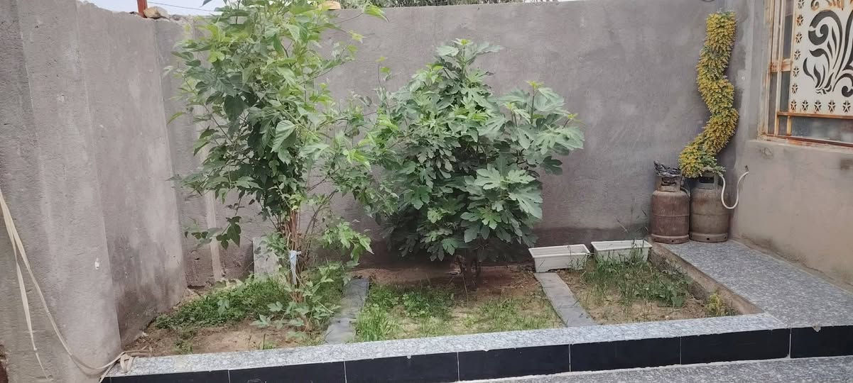 سلام عليكم بيت لبيع بكاع عامر 200 متر بيت بي صاله هول ومطبخ وستقبال وصحيات خدمات موجوده كله بس نقص غرفه مكان موجود بس بعده ما مجهزهن بنيان،،،، البيت بلوك عكادع مرتب وحلوو وقريب سعر خاص لبيت مقبيل محلات راجي عله شارعين سعر 55 وبي مجال لشراي ايجي خاص ***********

