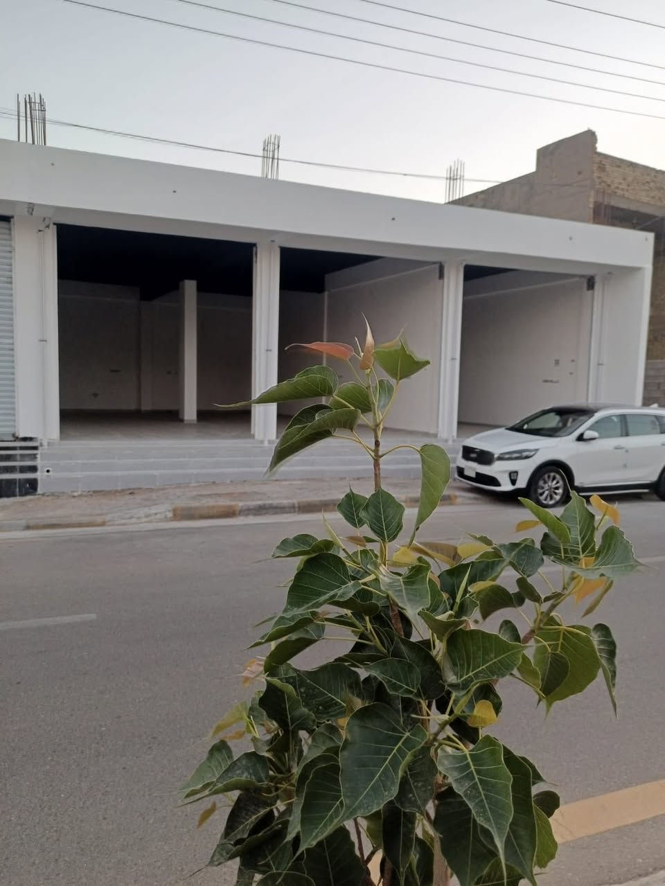 محلات معروضة للايجار منطقه الحوز نزله جسر الحوز اول نزله على يمين الشارع بعد شارع الكورنيش الشارع الجديد شارع٣٠م 
محلات جاهزه وكامله من كل الخدمات 
للاستفسار الاتصال على الرقم : ***********

