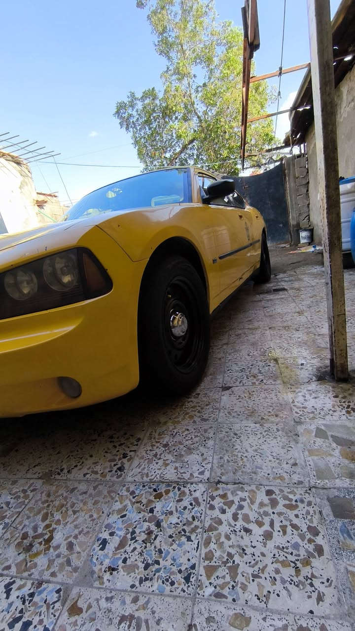 جارجر للبيع موديل 2010 سياره باسمي ثاني يوم تحويل مكان بصره 5 ميل سنويه جديده رقم انبار ماكينه كفاله وقير ماكينه استوى شادينها جديده 3500 السعر90/
***********
الشراي تخلي خاص رقم واتساب لا يراسل بالتعليقات ما اعرف اقرا
