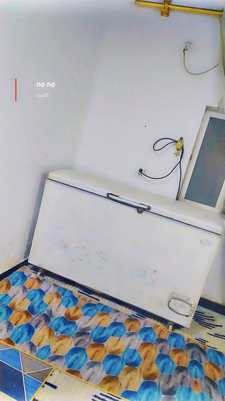 مجمده للبيع تجميدهه خير من الله تخبل وحجمهه اكبر حجم مال عائلهه للبيع  اي استفسار ع خاص مكانهه سماوه


**إذا كنت صاحب هذا الإعلان وتريد حذفه لأي سبب، رجاءا أرسل رسالة إلى الدعم الفني**